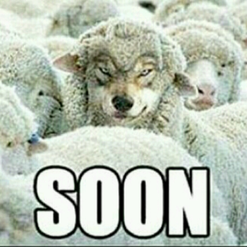 Meet your Posher, Matthew