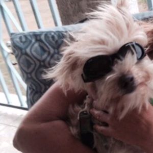 Meet your Posher, Toni