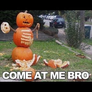 Meet your Posher, Fred