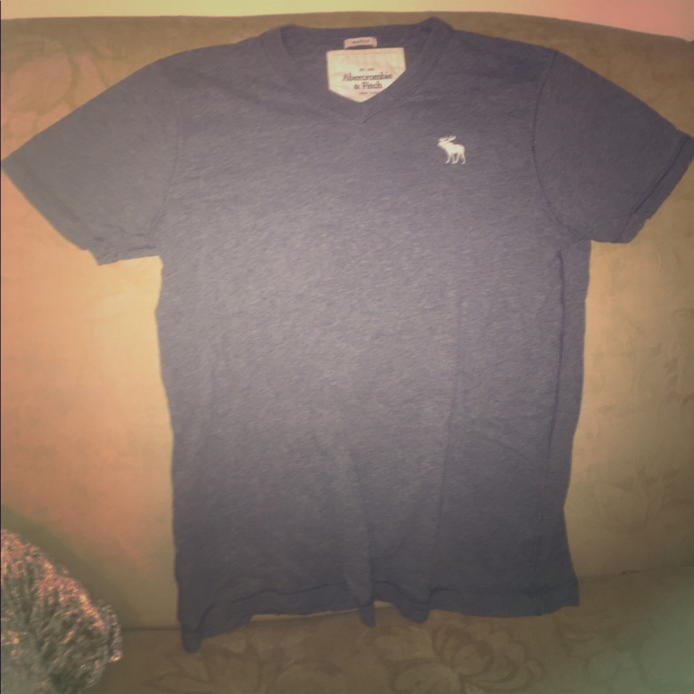 Gray A&F Moose Muscle T