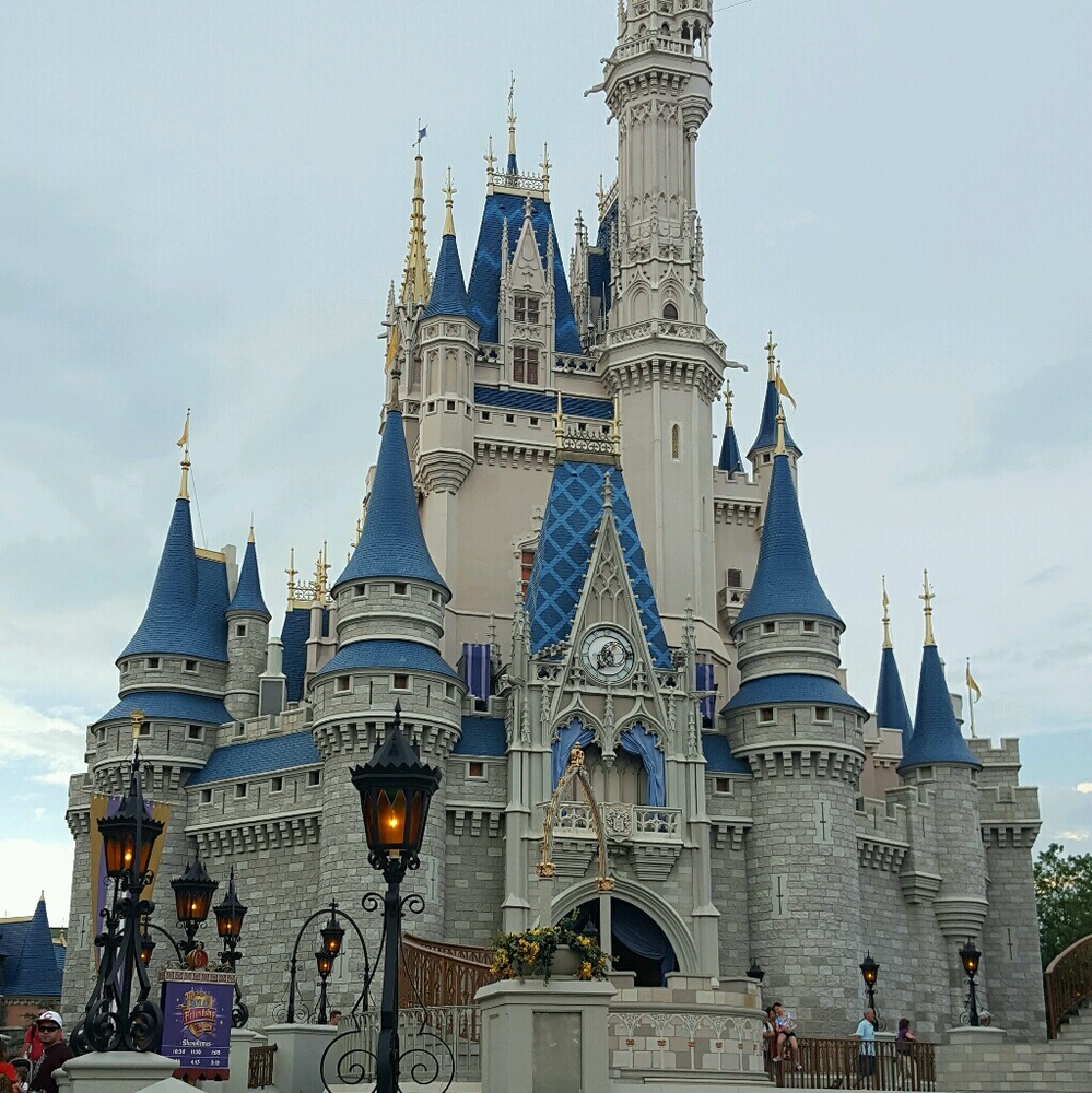 Meet your Posher, Daisy