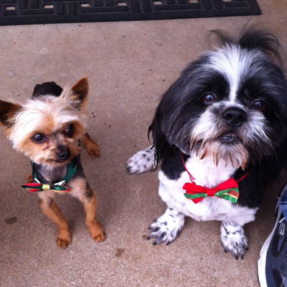 Meet your Posher, Gary