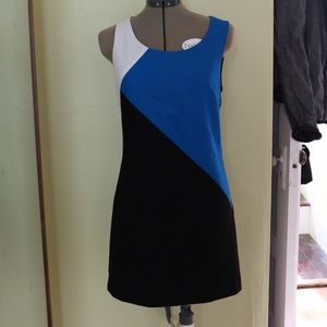 Forever21 Retro Colorblock Dress