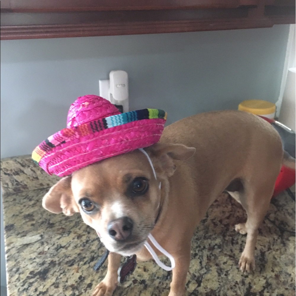 Meet your Posher, Shatrel