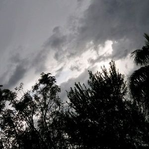 Meet your Posher, Alberto