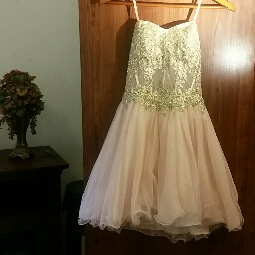 Gently Worn Blondie Nites JrSZ 5 Semi/Formal Dress