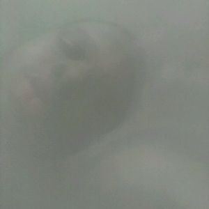 Meet your Posher, Marvin