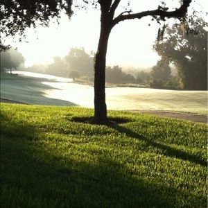 Meet your Posher, Dinna