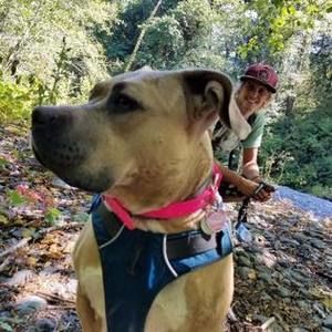 Meet your Posher, Zack