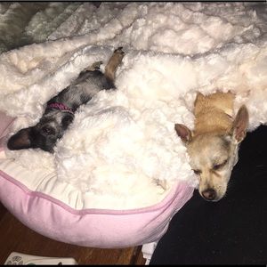 Meet your Posher, Tracy