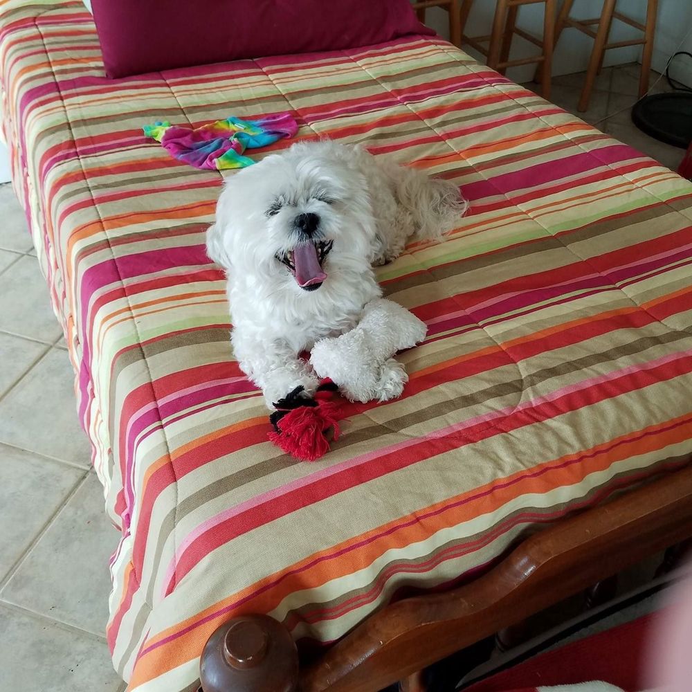 Meet your Posher, Terrie