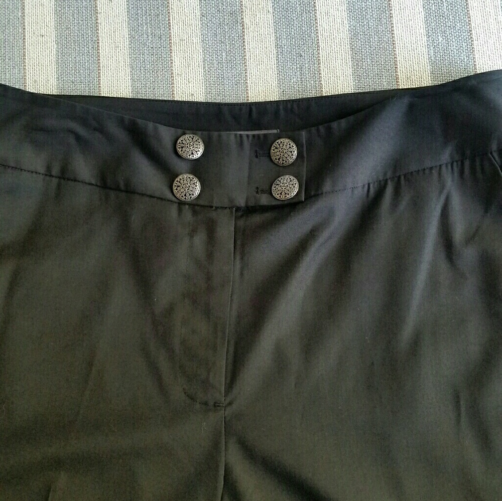 Chelsea & Theodore Dress Pants NWOTS