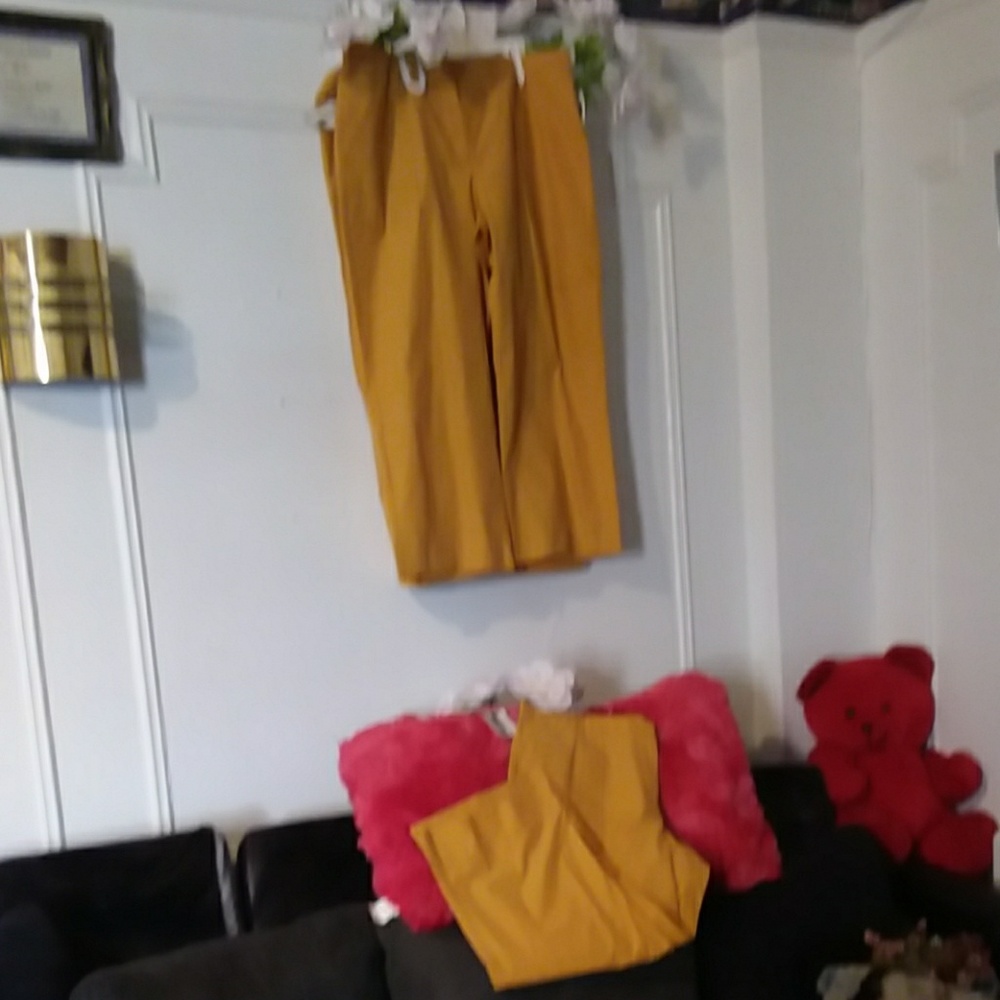 20 ADORABLE  LESLIE FAY SEPERATES CAPRIE PANTS ( $40 EACH )