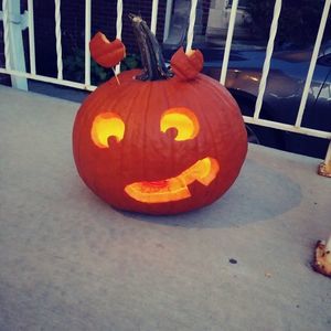 Meet your Posher, Maya