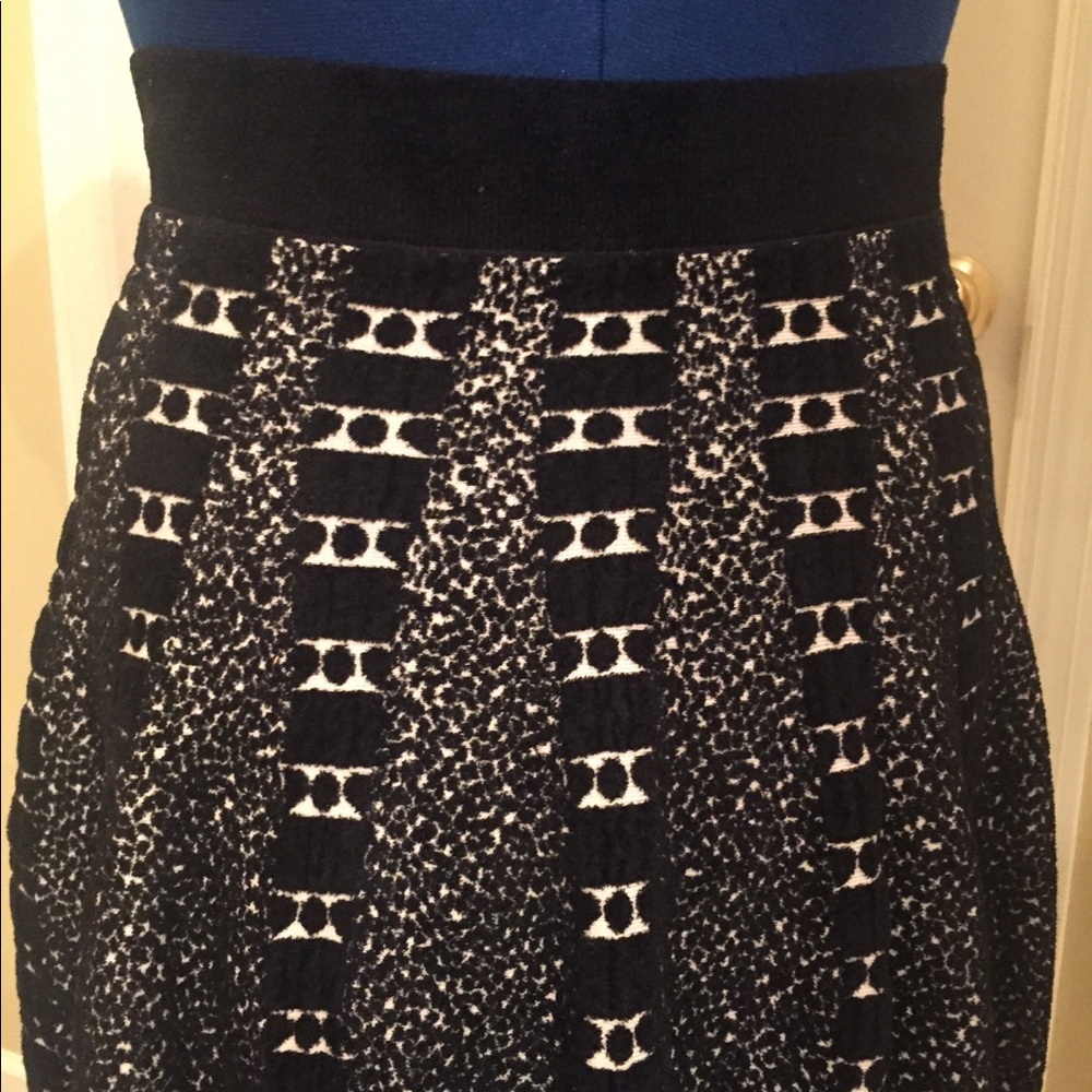 Anthropologie Textured Skirt