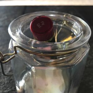 LipSense Fly Girl