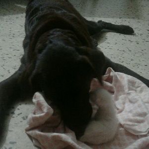 Meet your Posher, Rosa