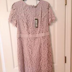 Eva Mendes NY&Co Lace Dress