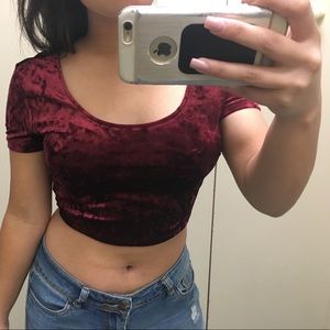 Velvet Crop Top