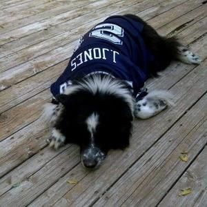 Meet your Posher, Melody