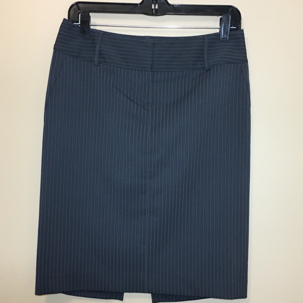 Express Pencil Skirt