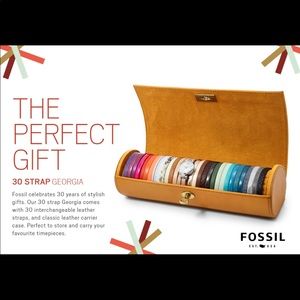 Fossil watch 30 interchangeable bands collection