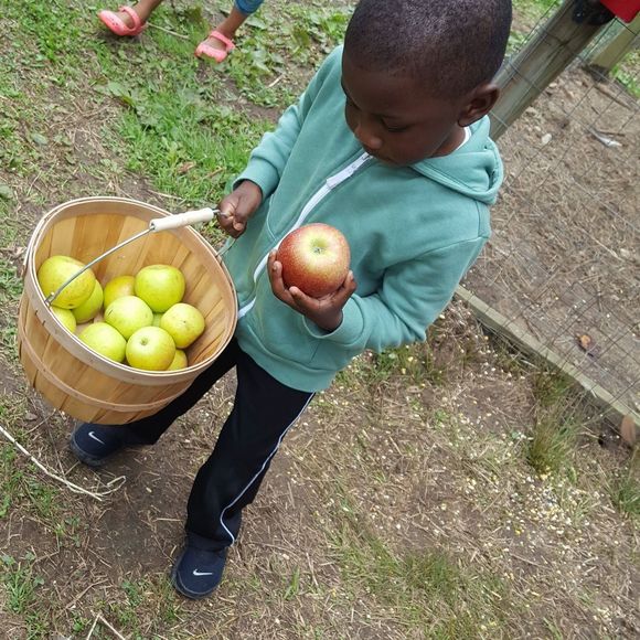 Meet your Posher, Fanny - Picture 1 of 1