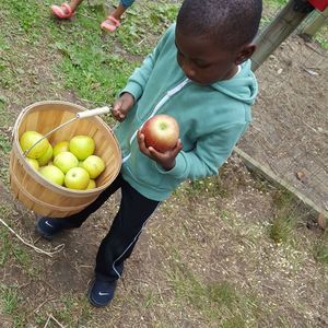 Meet your Posher, Fanny