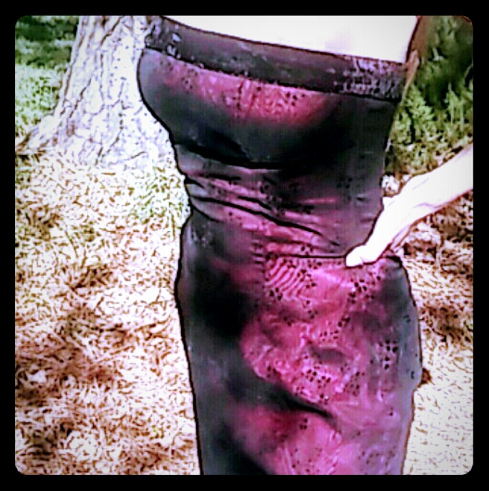 Zum Zum maxi evening dress