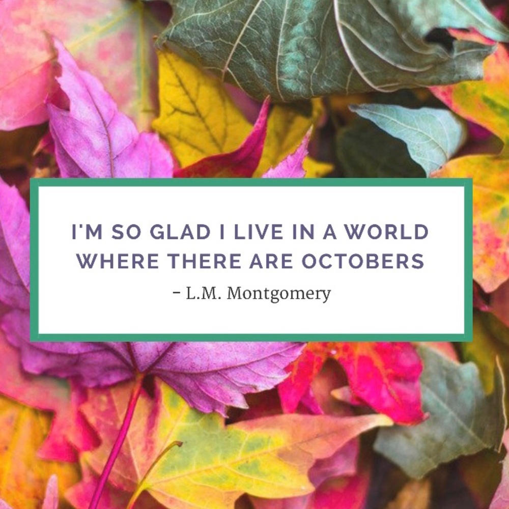 Fall-O Game! - Picture 4 of 4