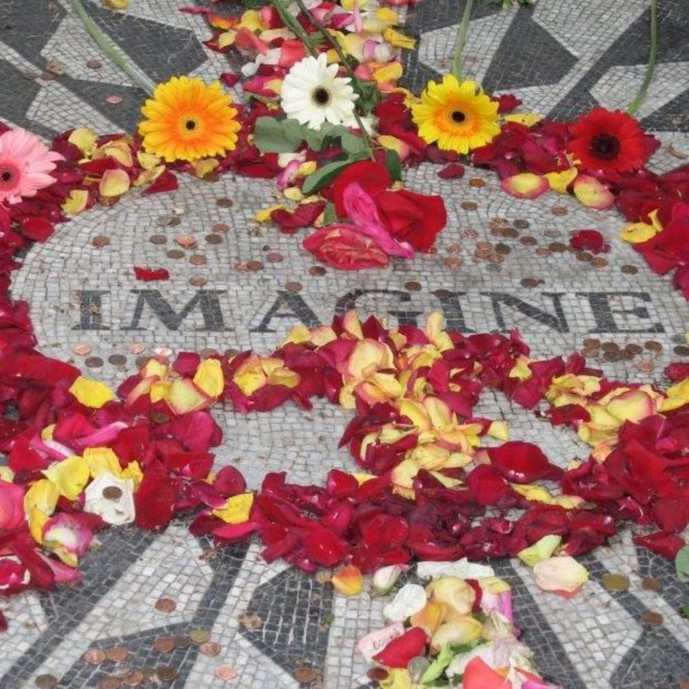 Meet your Posher, Julia B.