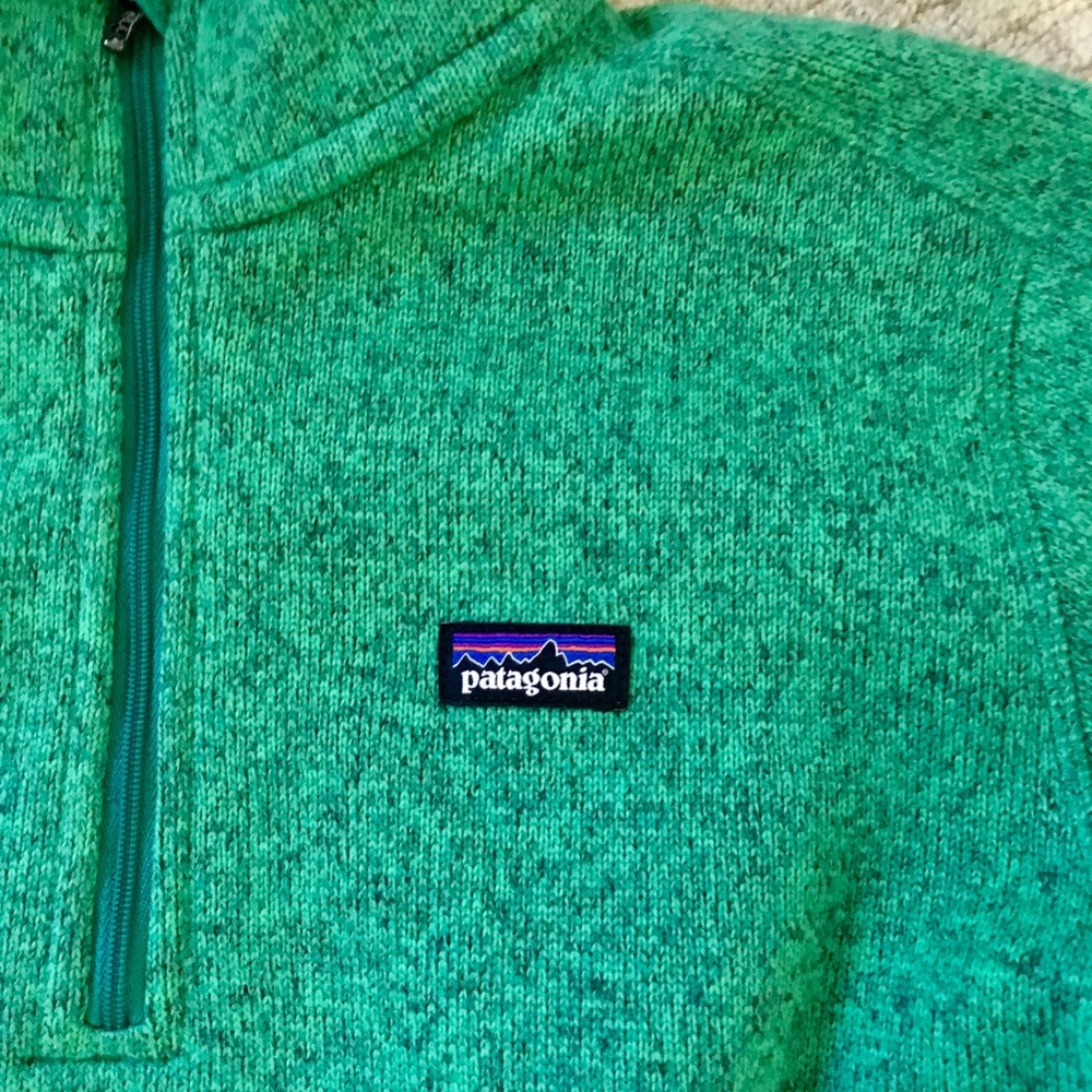 Great color! Perfect Patagonia Fleece pullover