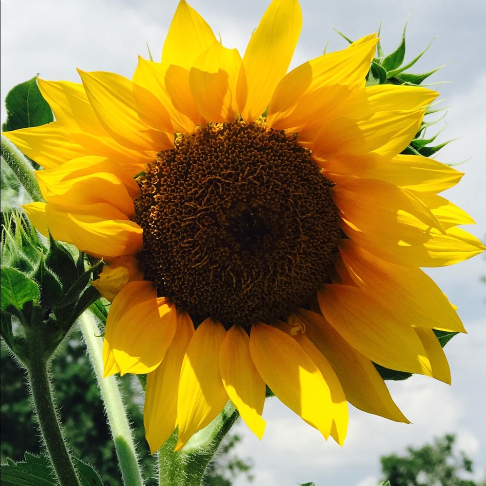 Meet your Posher, Stacie