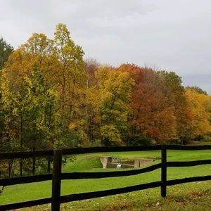 Meet your Posher, Rachida