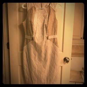 Calvin Klein Dress