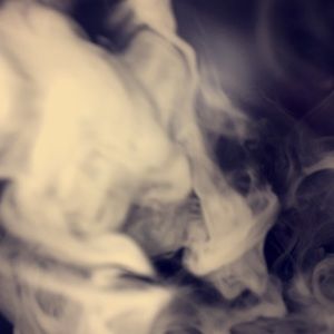 Meet your Posher, Maddie