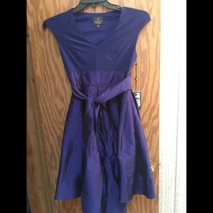 Adrianna Papell Fit And Flare Taffeta Formal Dress