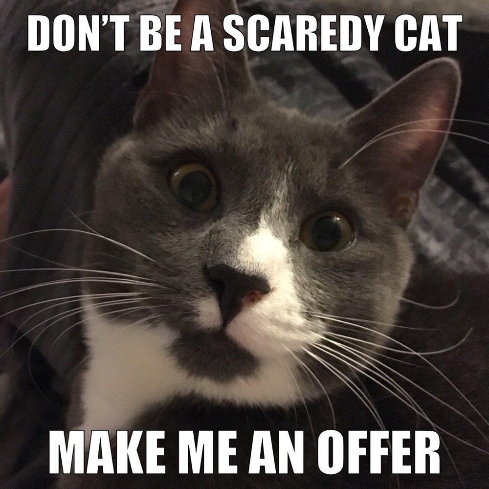 💞😻💞Make Me an Offer💞😻💞