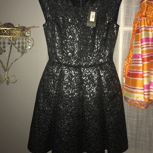 Armani exchange cocktail dress