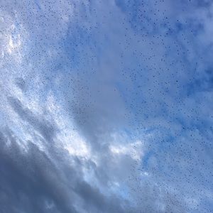 Meet your Posher, Addison