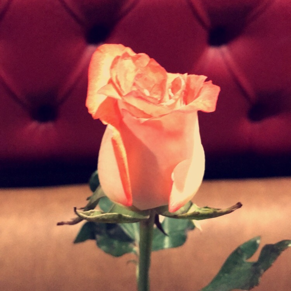 Meet your Posher, Kathy