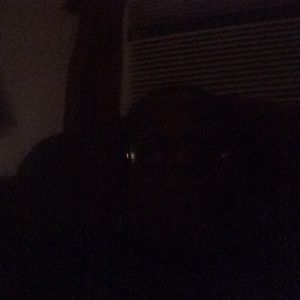 Meet your Posher, Danana