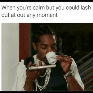 Meet your Posher, Literra