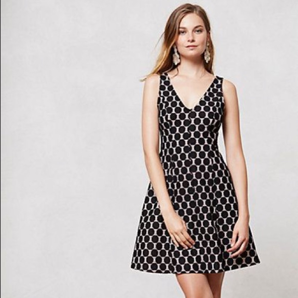 Anthropologie Dot Print Lace A-Line V-Neck Dress