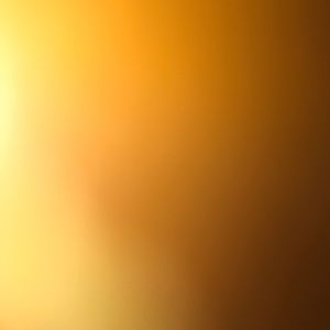 Meet your Posher, Angelica