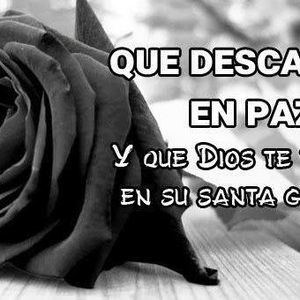 Meet your Posher, Helena