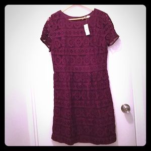 LOFT Lace Dress (Merlot) Size 12 NWT