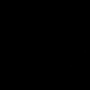 Meet your Posher, Alan