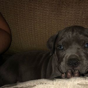 Meet your Posher, Norma