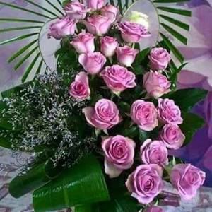 Meet your Posher, Marlene